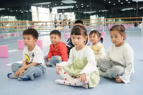 报名啦 大理市星行艺术培训学校正式开业