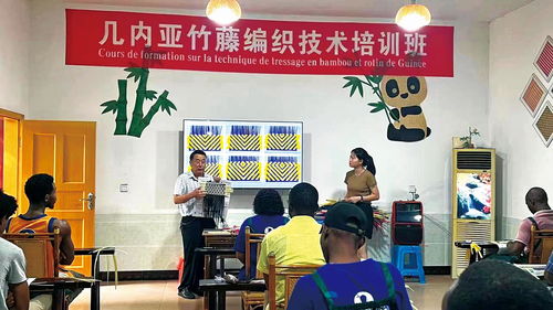 几内亚竹藤编织技术培训班在华圆满结束