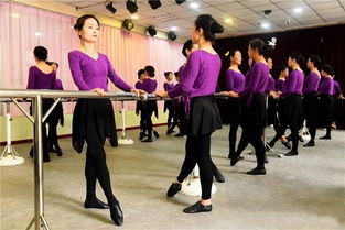 凤凰教育走进洛阳校园艺术培训基地，升学咨询助力学子圆梦