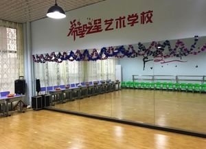 希望之星艺术培训中心加盟 加盟费 招商代理条件 电话 中国教育招商网